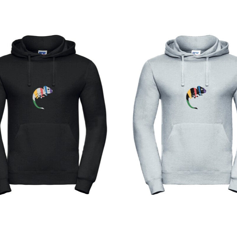 Hoodie Lion Colorful Edition